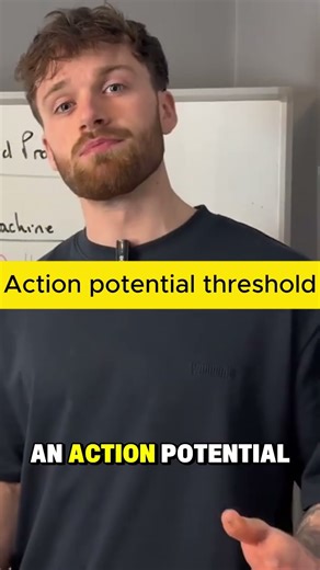 500 trillion synapses vs 5 trillion parameters: The Real Difference Between Ai Bias and Brain Bias