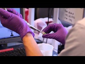 Institute for Cell Engineering