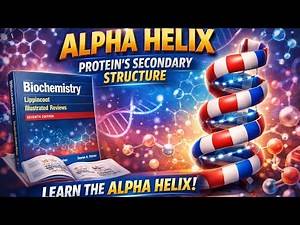 Alpha helix| protein secondary structure| hydrogen bonds and stability| protein structure