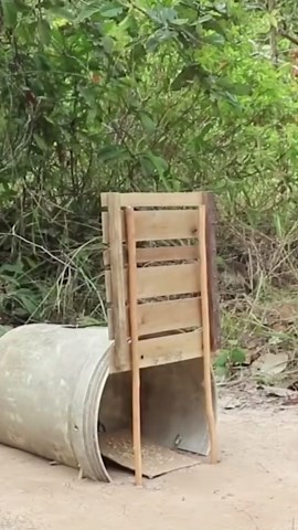 Ingenious Bird and Mouse Traps That Will Amaze You