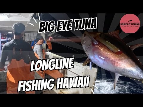 Longline Fishing in Hawaii | Commercial Tuna Boat | Big Eye Tuna & Stunning Swordfish Catch