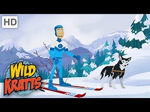 Wild Kratts | Mountain RACE | NATURE