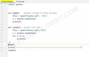 Reading data from Binary File in Python Programming - Python Lobby PythonLobby.com