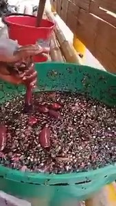 13K views · 107 reactions | Quien inventaría esto 樂 | Humor Urbano | Facebook