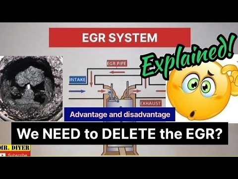 EGR Explained! Do we Need to DELETE the EGR?