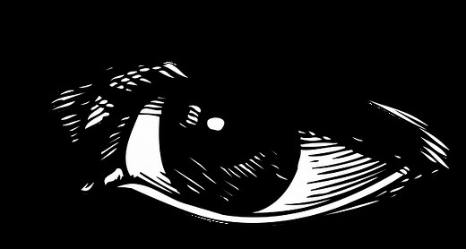 Observational Drawing: Easy tips to drawing what you see from life