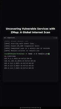 Mass-Scanning the Global Internet for Vulnerable Services with ZMap