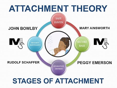Attachment Theory and the Stages of Attachment - Simplest Explanation Ever