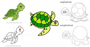 25 Easy Turtle Drawing Ideas - How To Draw A Turtle