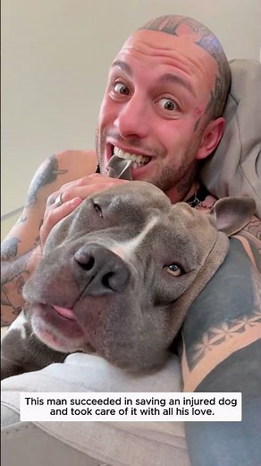 A loyal little friend can’t wait to meet the baby…