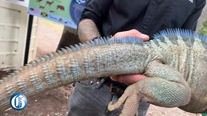 22K views · 139 reactions | It was a remarkable discovery when the...