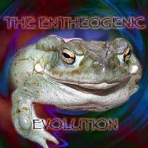 Milking a Colorado River Toad For Psychedelic Venom