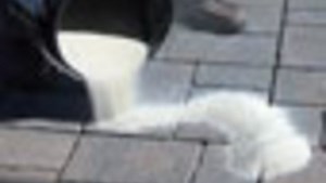 How to Set Pavers and Prevent Weed Growth with SAKRETE Paver Set Polymeric Sand - Fine Homebuilding