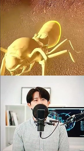 Termite Queen Reborn