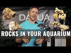 Aquarium Rocks + Effects On Water Chemistry