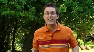 Boogie Beebies Kangaroo