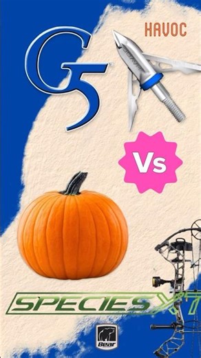G5 HAVOC Broadhead DESTROYS Pumpkin! 🍂🎯 (Bear Bow Test) #archery