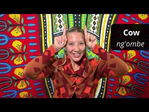 Kenyan Sign Language [KSL] | Basic Signs