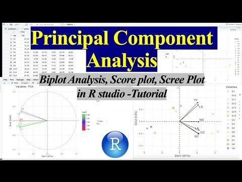 Principal Component Analysis (PCA) in R studio | Biplot in R |Tutorial