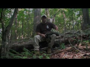 How to Build a Natural Shelter in the Jungle