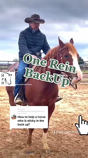 #onerein #backup #horsetips #horse #howto #trainer #tips #fyp #horsetraining #dailytips #riding #mankinsperformancehorses #ride #training #horses #showhorse #allhorses #horseriding #fypシ #horsesoftiktok #horsetok #foryou #horsesontiktok #eq #equestrian #cowboys #ranchlife #bodycontrol #collection #stepbystep #softness #horsepower #horseriding