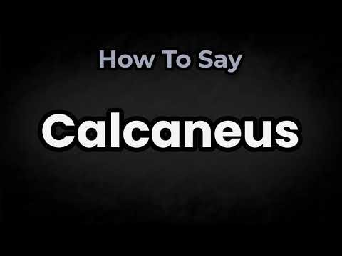 How To Pronounce Calcaneus? (CORRECTLY) Meaning & Pronunciation