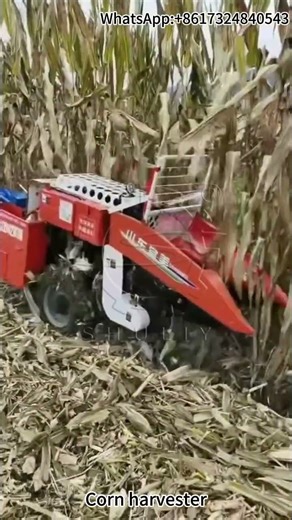 Corn Harvester Machine in Action: Efficient Harvesting for Maximum Yield