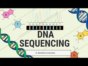 DNA Sequencing Overview | Methods, Steps & Applications