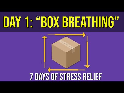 Box Breathing (with guided breathing exercise) - Day 1 - 7 Days of Stress Relief