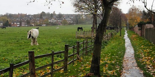 Overview of the Agricultural Revolution Lesson