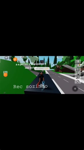 Espadas e Acessórios no Brookhaven: Códigos e Dicas