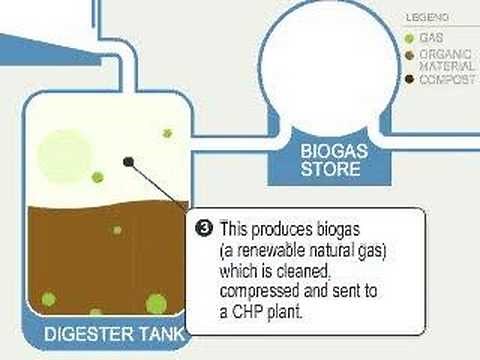 Biogas: how it works