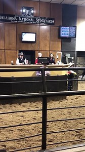 Choice feeder steers, off wheat from El Reno, Oklahoma 53 steers, weighing 918, brought $129.00 (per hundred weight) | Oklahoma National Stockyards Company
