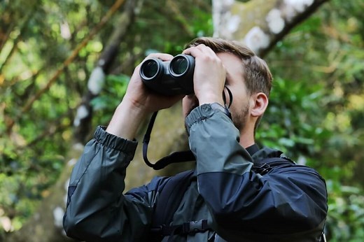 What Do Numbers on Binoculars Mean? - A Detailed Guide [Upd. 2021]