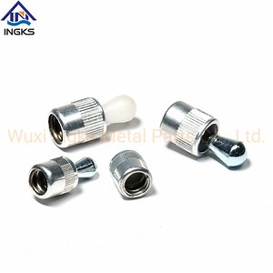 [Hot Item] Press-Fit Side Thrust Pins Lateral Spring Plunger Spring Locating Pins with Thread and Steel Pin