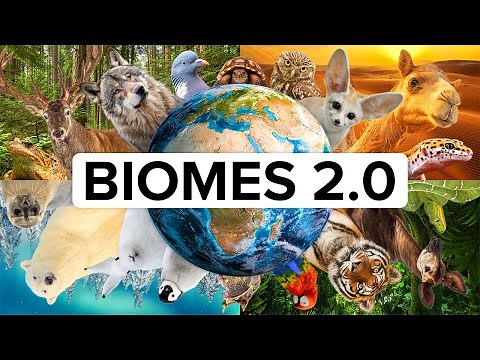 All 14 Biomes (Animals, Ecology & UNESCO Sites)