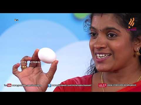 KITE VICTERS Kilikonchal Anganwadi Class 12