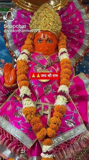 🙏❤️🌼 Jay Shri Ram 🌼❤️🙏🙇🙇#ram #ayodhyarammandir #shreeram #hanumanchalisa #bageshwardhamsarkar