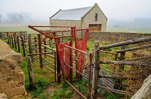 Best Tips to Handle Cattle the Small Herd Cattle Working Pens 2022