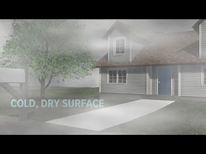 Weather IQ: What causes fog to form?