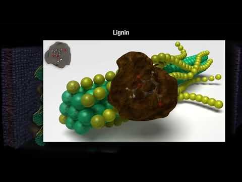 How Decomposition Works Part 1