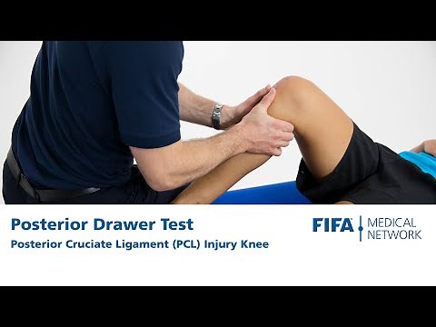 Posterior Drawer Test | Posterior Cruciate Ligament (PCL) Injury Knee