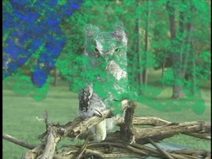 Sesame Street: Elmo's World - Springtime Fun (2003 DVD) (Philippine Release) : Sesame Workshop : Free Download, Borrow, and Streaming : Internet Archive