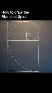 How to draw theFibonacci Spiral, Golden Rectangle #natureofflowers #sacredgeometryartist #369Manifestation #geometricart #sacredgeometry #art #fibonacci #fibonaccisequence #fibonaccispiral #goldenrectangle | Natureofflowers