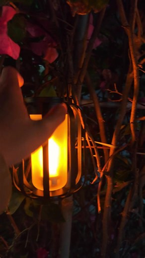 Cozy Solar-Powered LED Lights for Your Deck and Garden