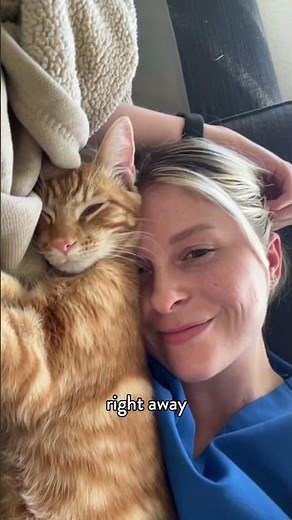 Adopting a Cat From a Petsmart Charities Everyday Adoption Center