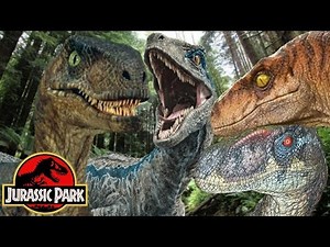 The Differences Between Velociraptors In The Jurassic Park Film Series