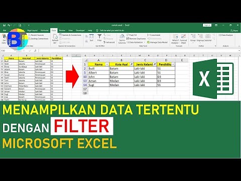 Cara Menggunakan Filter untuk Menampilkan Data Tertentu di Excel