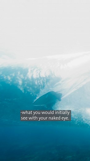 14K views · 6.4K reactions | Every year Stockholm University welcomes thousands of international students from all over the world. | Stockholm University | Facebook