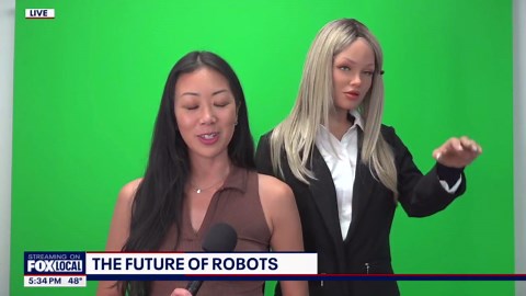 The future of human-robot relationships